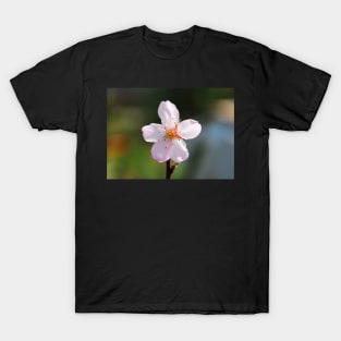 Almond Blossom T-Shirt